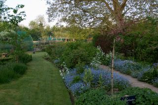 Traditional English garden with lawns and flower beds