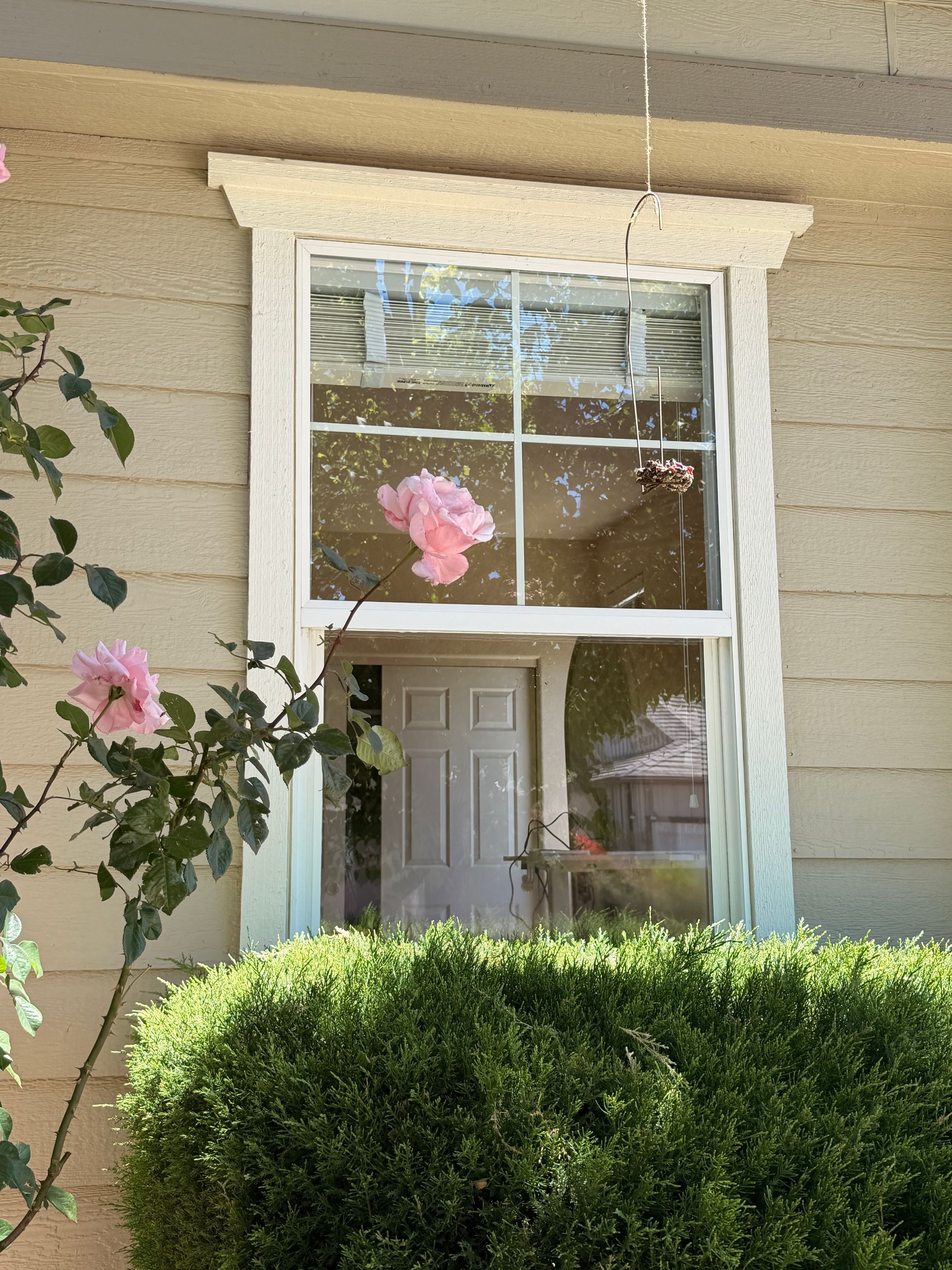 Reno Nevada window cleaning, reverse osmosis, pure water