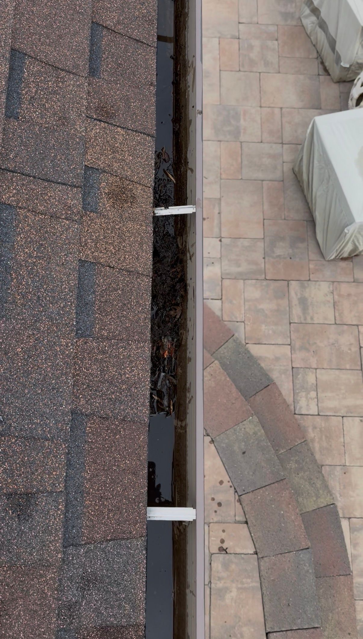 Roof and gutter debris removal by Wolf City Window Cleaning