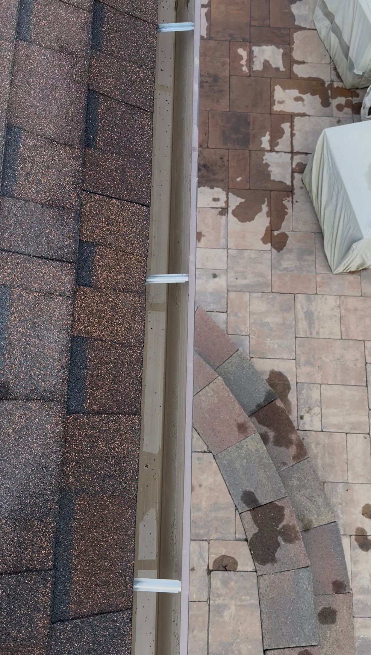 Roof and gutter debris removal by Wolf City Window Cleaning