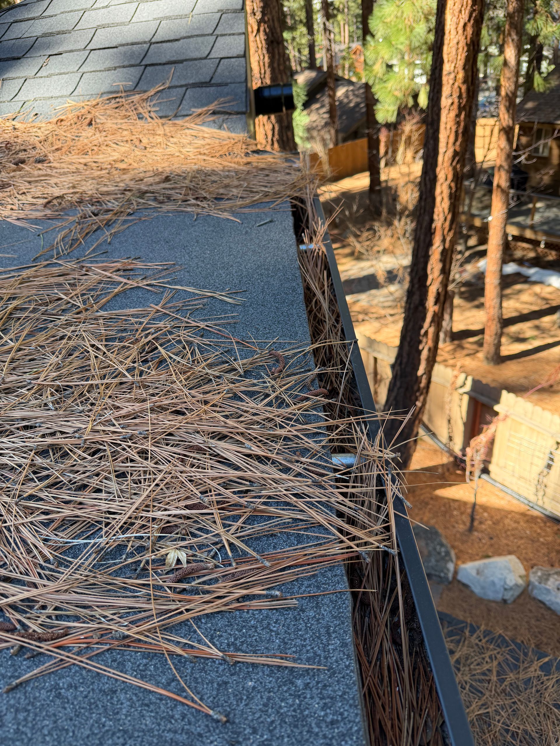 Roof and gutter debris removal by Wolf City Window Cleaning in Incline Village
