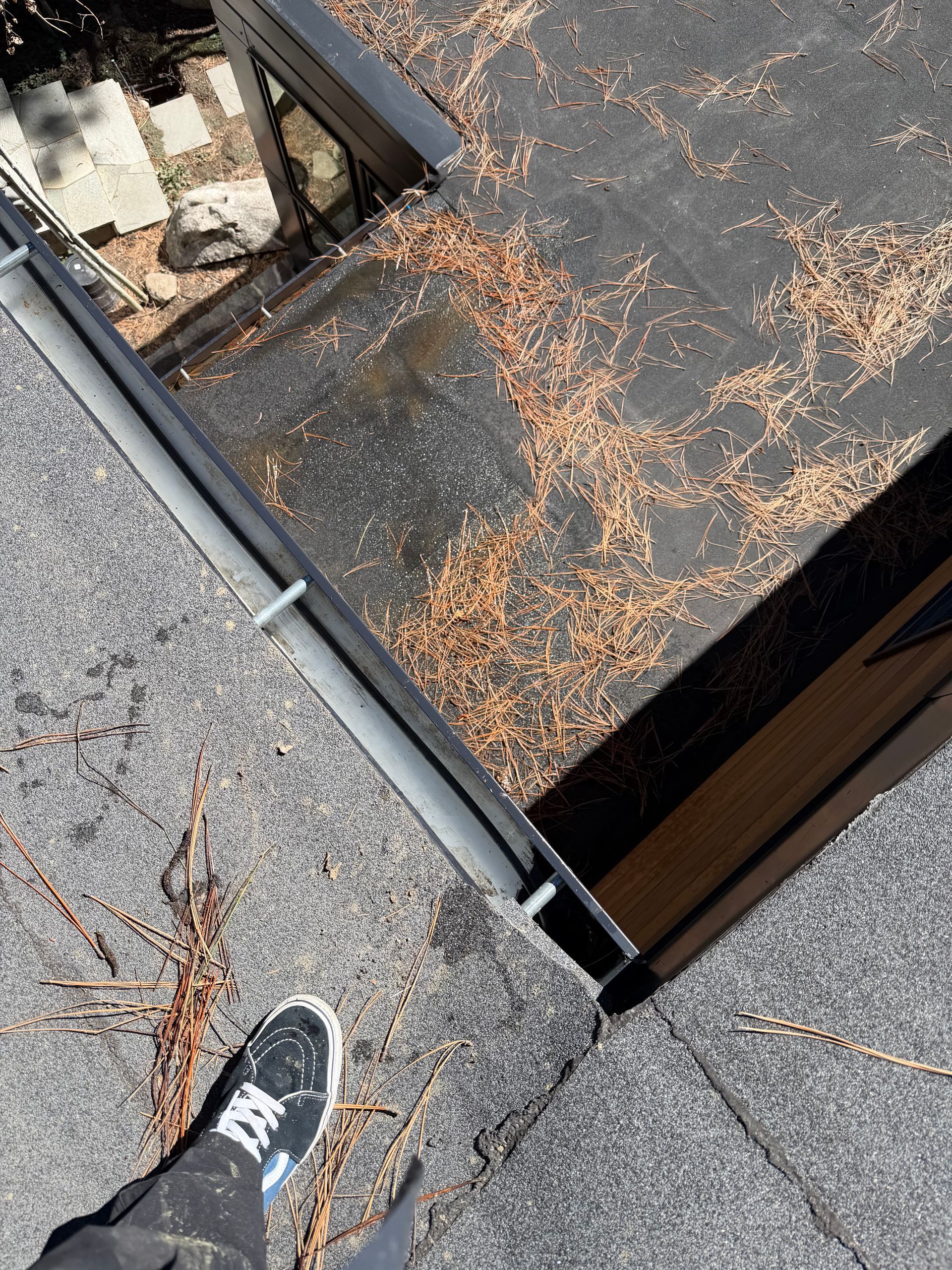 Roof and gutter debris removal by Wolf City Window Cleaning in Incline VIllage