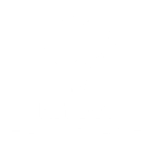 RE/MAX Hall of Fame logo
