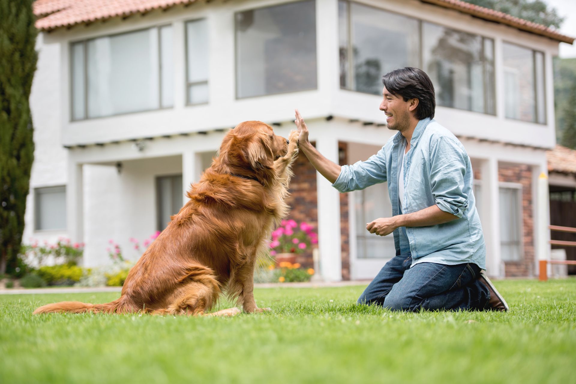 Obedience Training — Kempner, TX — DogON Paw Wow Training