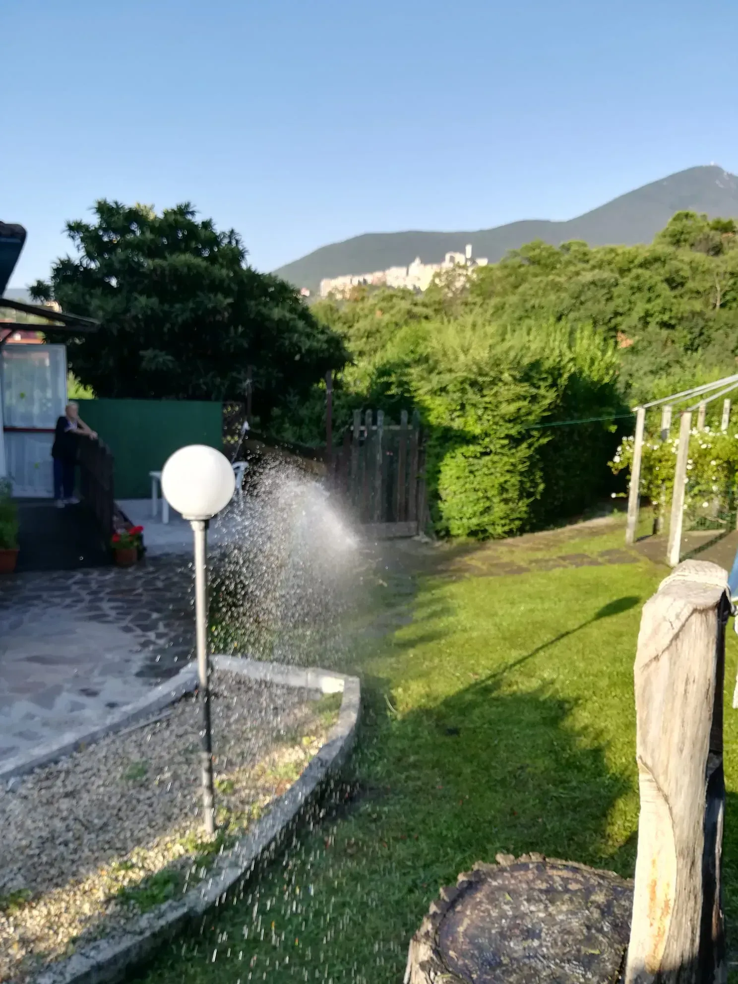 Garden path with sprinkler spraying water beside a lawn and hedge, with mountains in the background