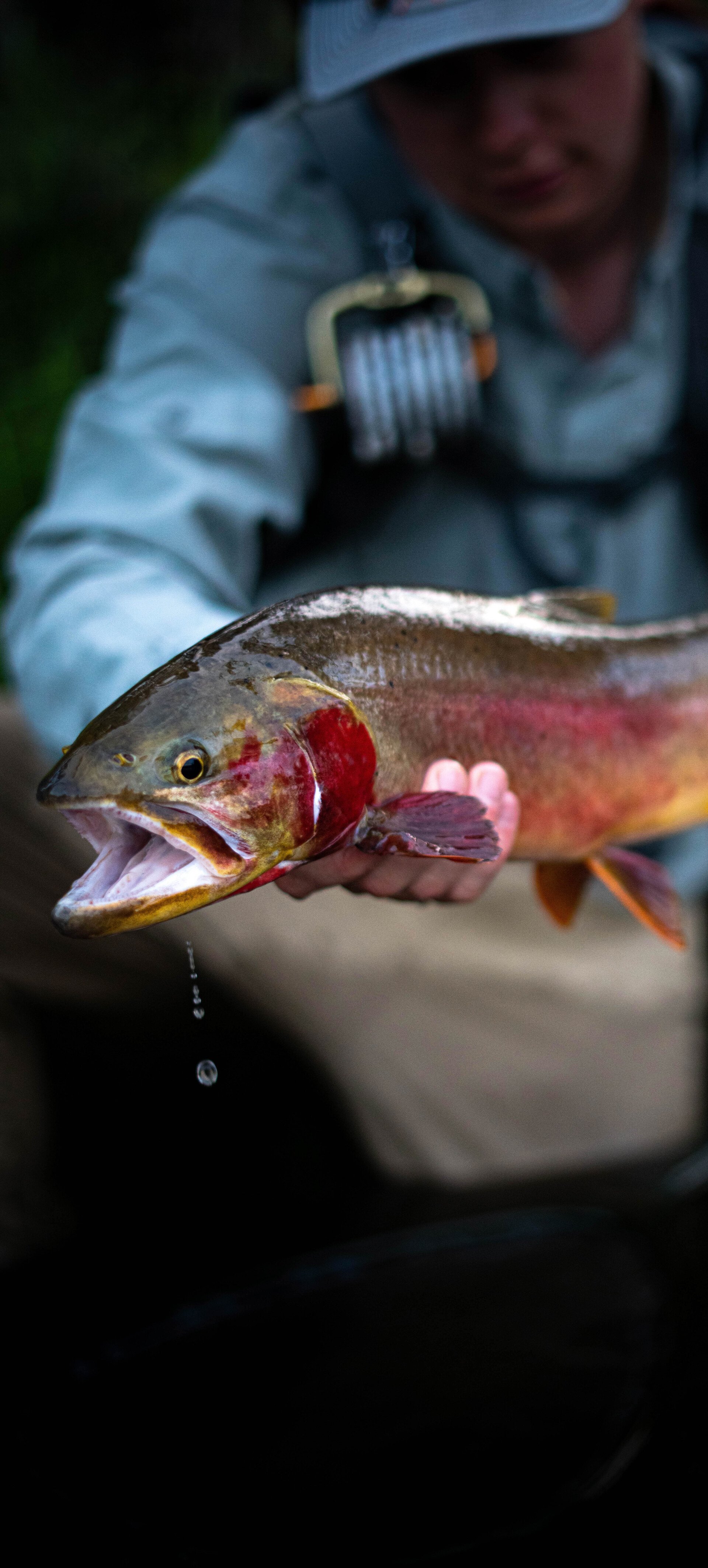 Fly Fishing Guides & Outfitters Dubois WY Wind River Flyfitter