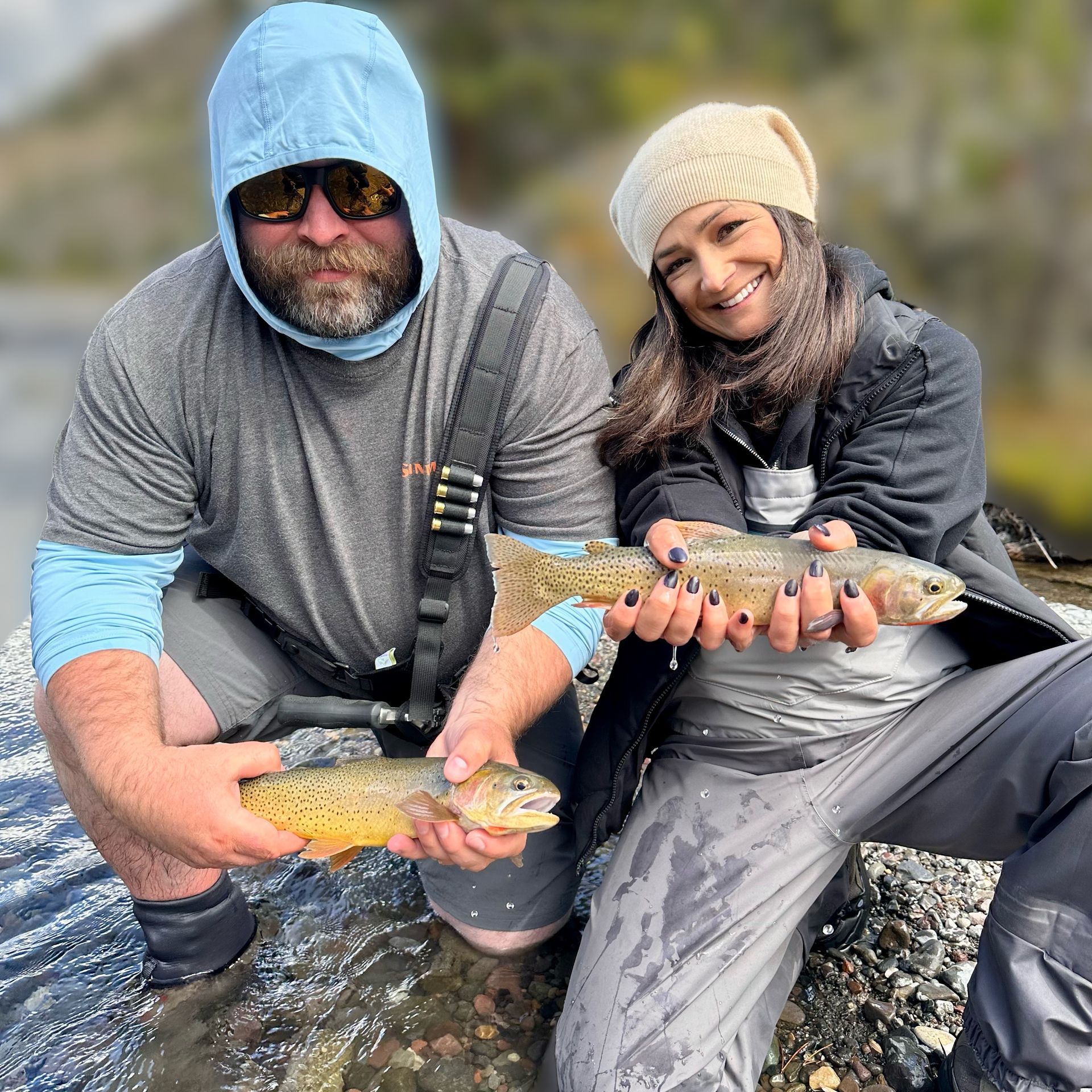 brown trout, cutthroat trout, fly fishing, guiding, Wyoming, dry flies, rainbow trout