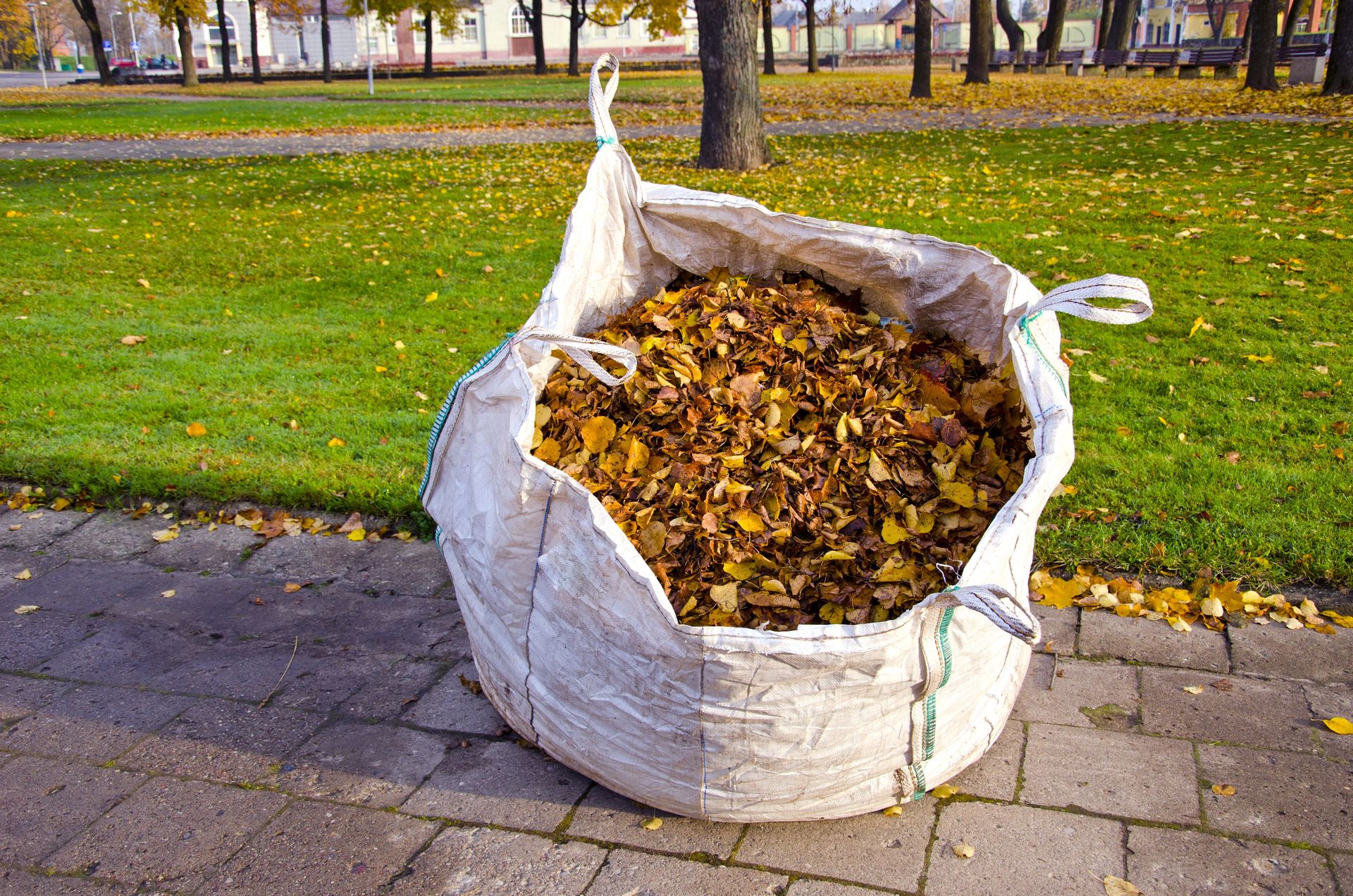 A bag filled with leaves is sitting on a sidewalk in a park.