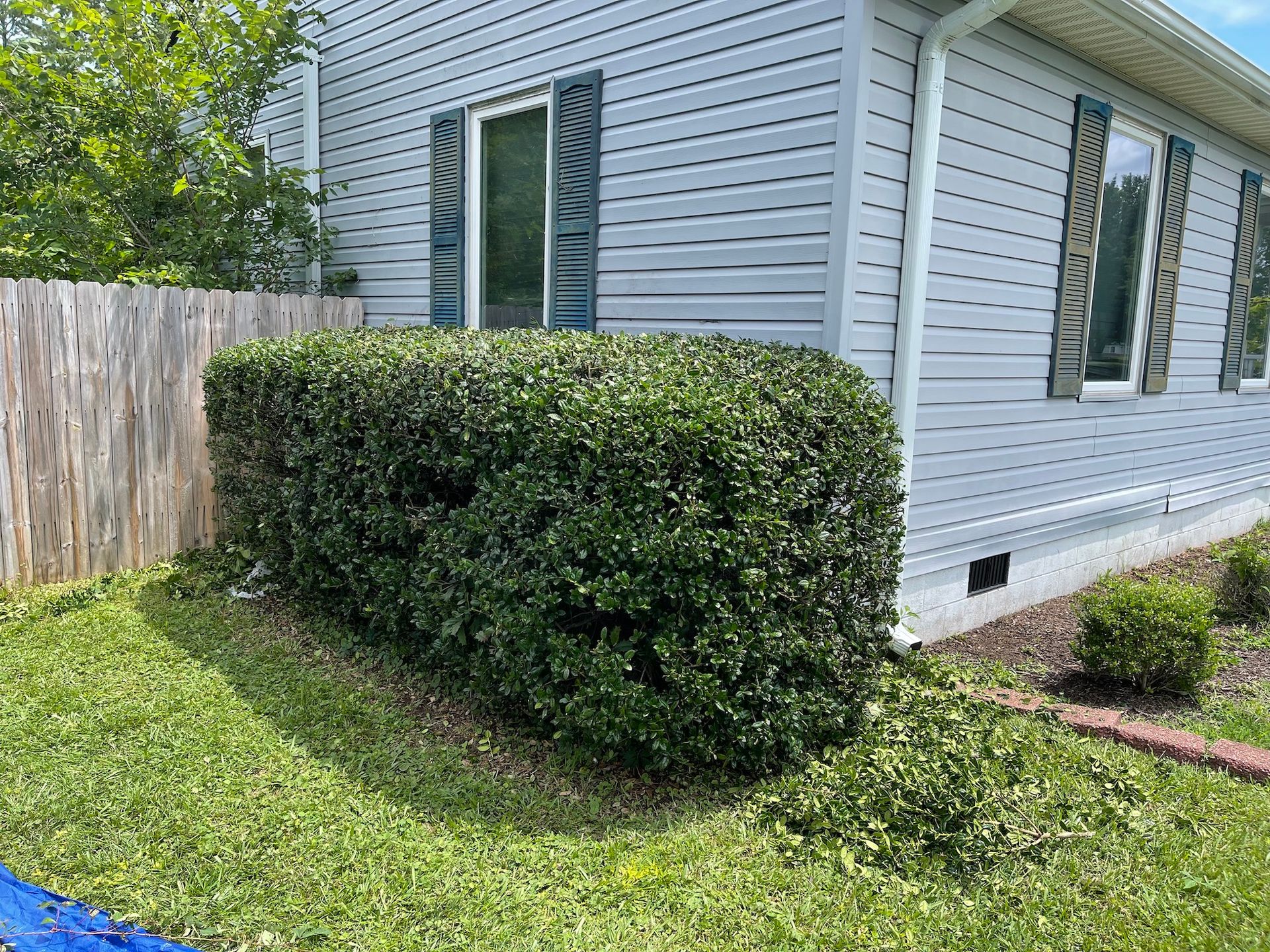 A house with a fence and a hedge in front of it.