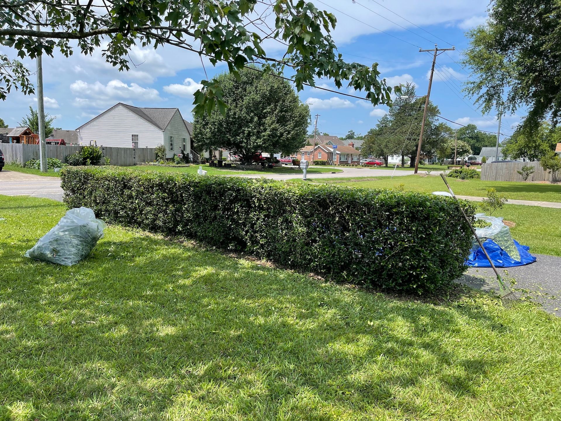 A bag of trash is sitting in the grass next to a hedge.