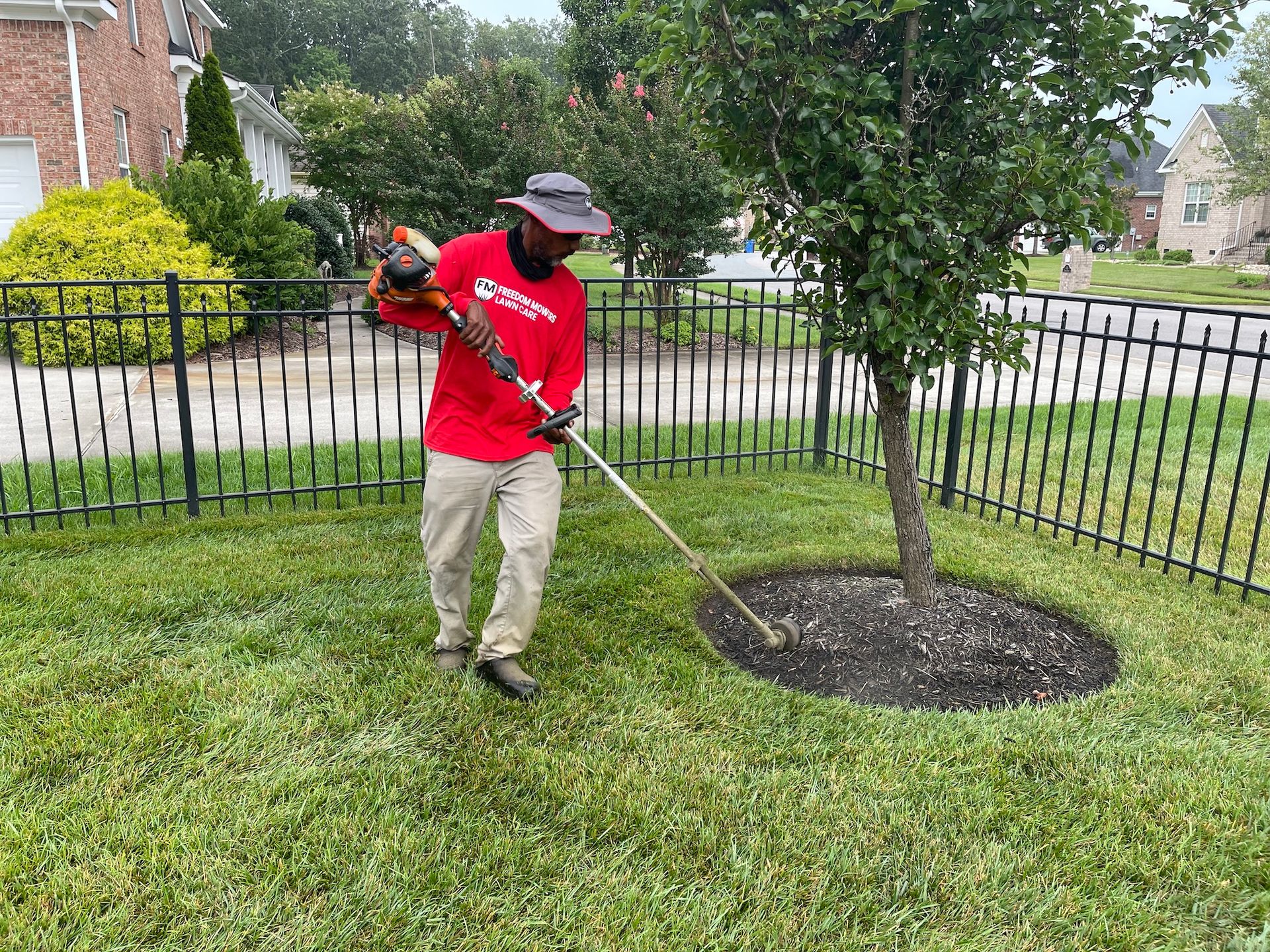 A man is using a lawn mower to cut the grass around a tree.