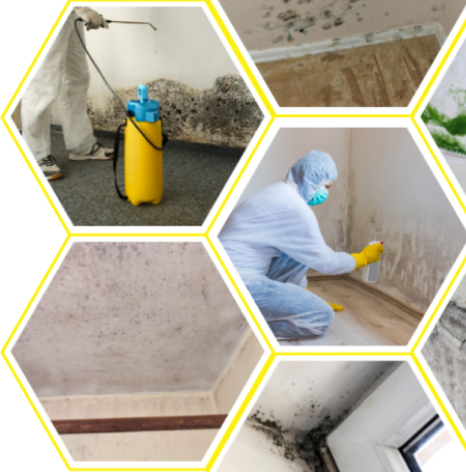 A person in protective gear performing Asbestos testing and mold removal