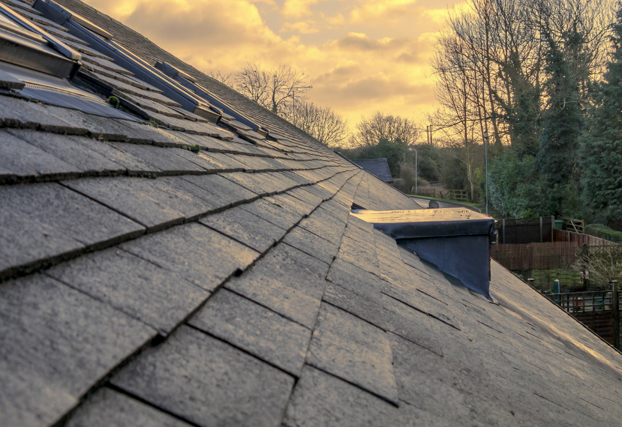 Slate roof at sunset with trees and a small rooftop structure in the background