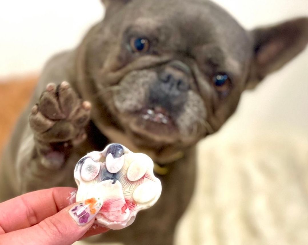 Puppy getting a treat