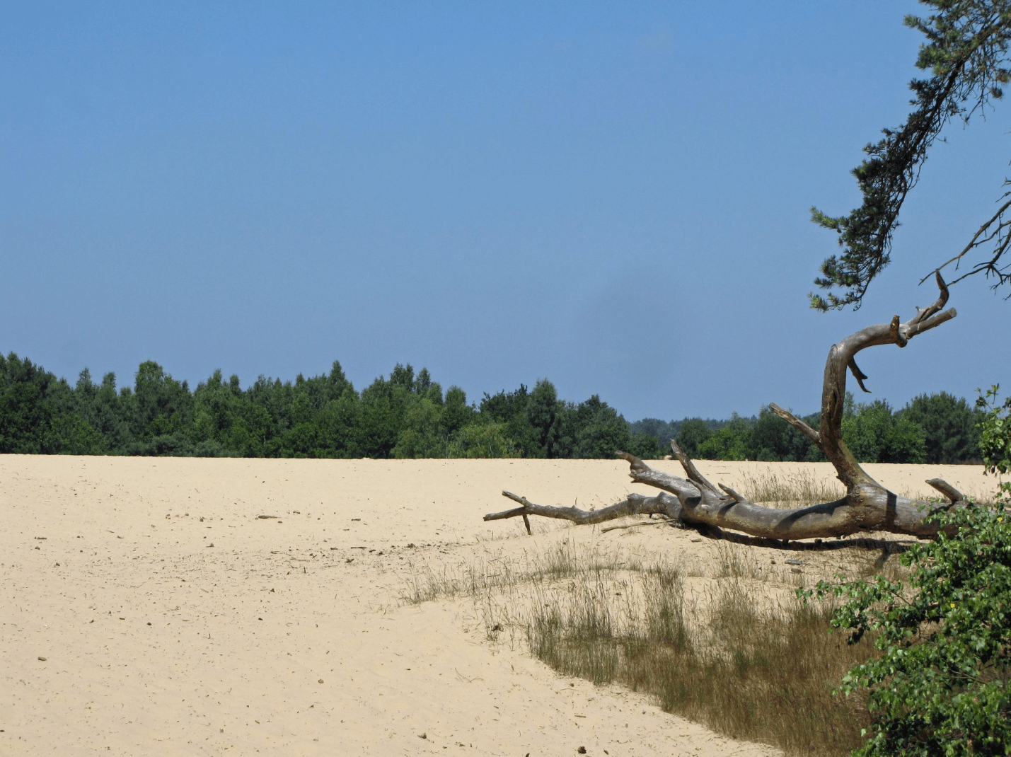 Hoe en wat over stress, deel 2