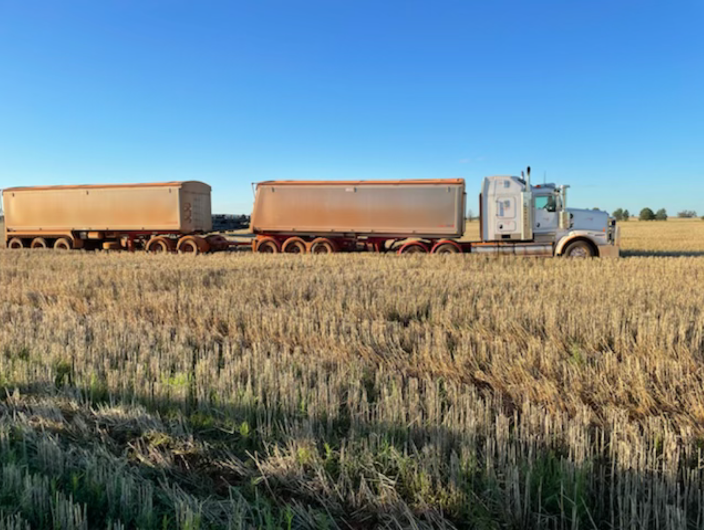 Semi-truck driving on a highway at sunset with a golden sky