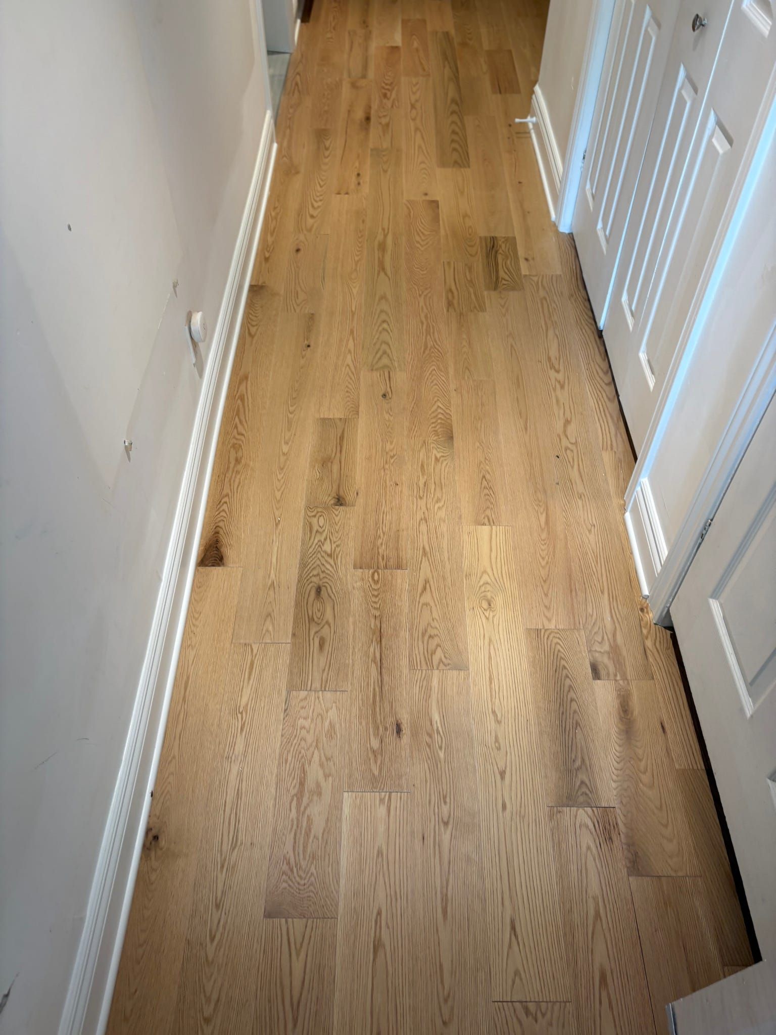 Couloir étroit en parquet avec murs blancs, plinthes et une porte sur la droite.
