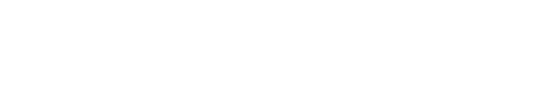 HammerGIS company logo