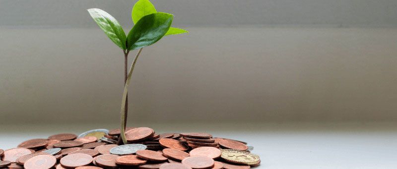 A small plant growing from a pile of coins, symbolizing financial growth.