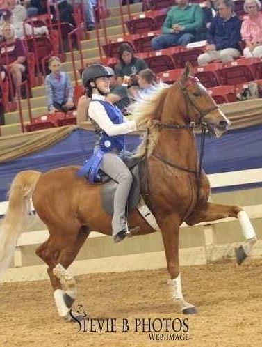photo of Lenux Stables academy rider displaying her ribbons at horse show