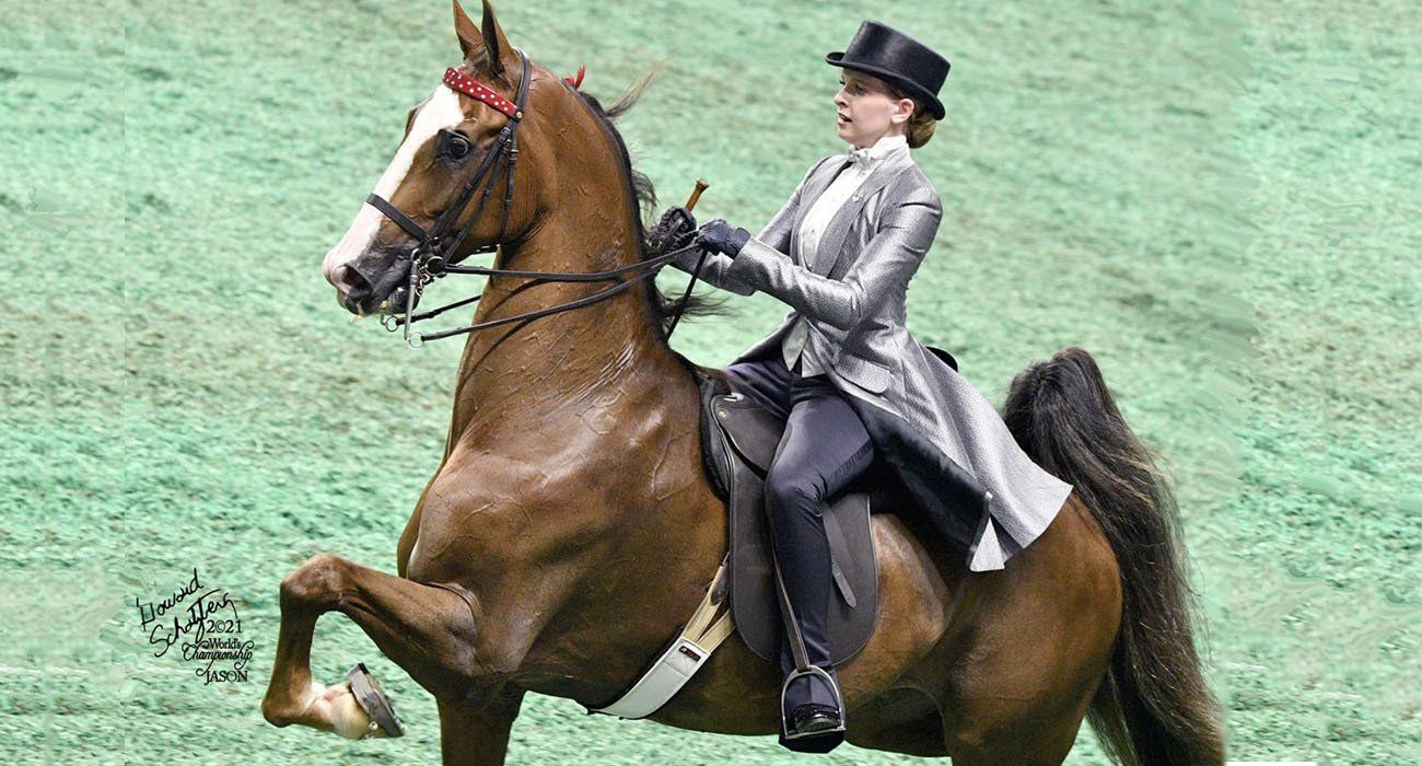 photo of rider showing American Saddlebred horse at World's Championship Horse Show