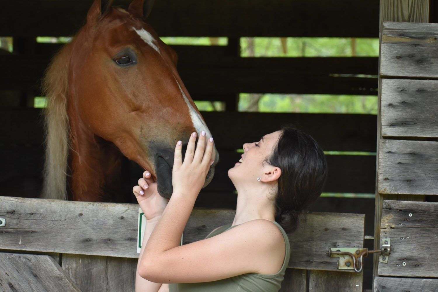 photo of girl admiring American Saddlebred horse in stall