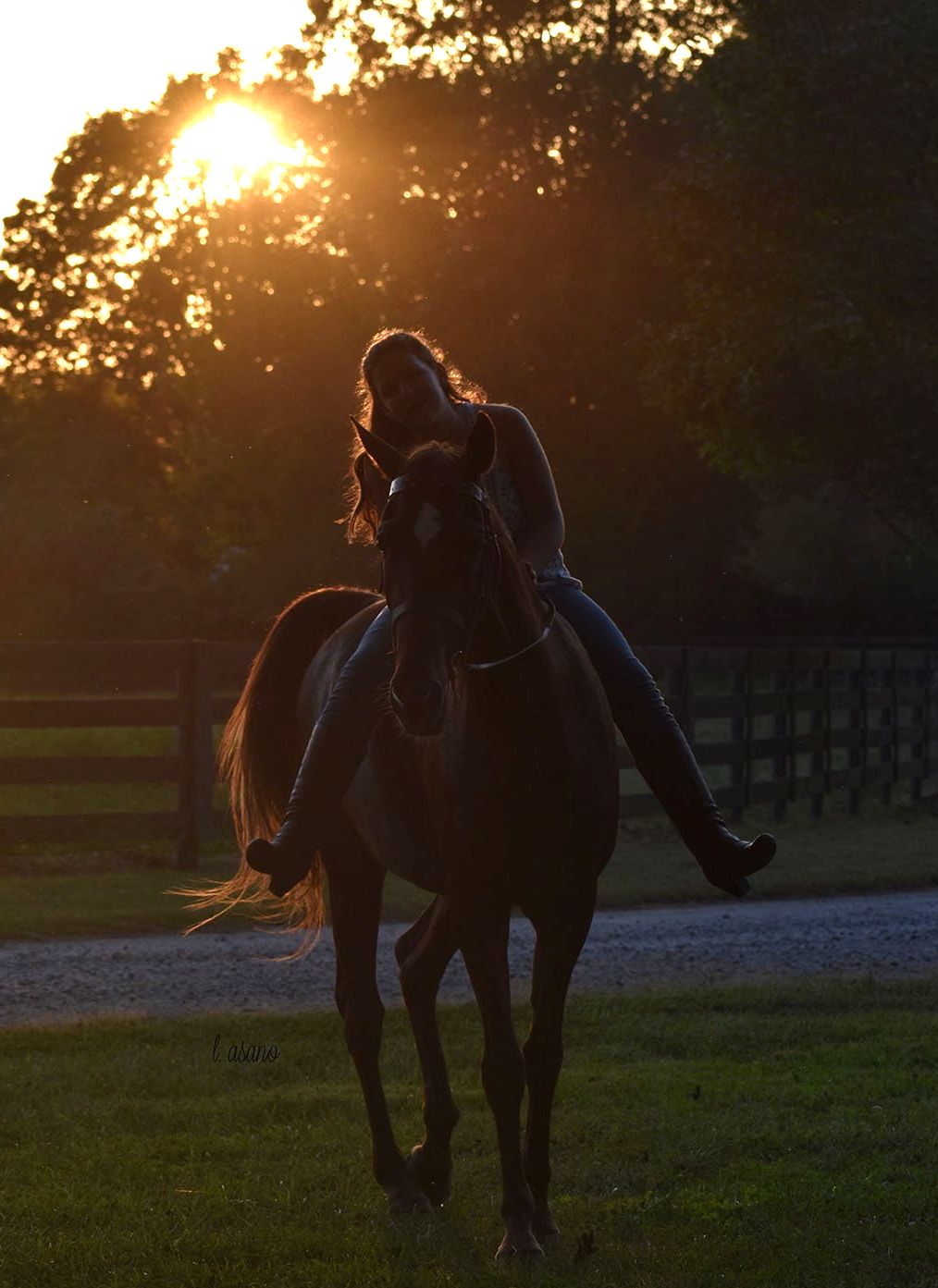 Best Horseback Riding Program in Huntersville, NC • Lenux Stables ...