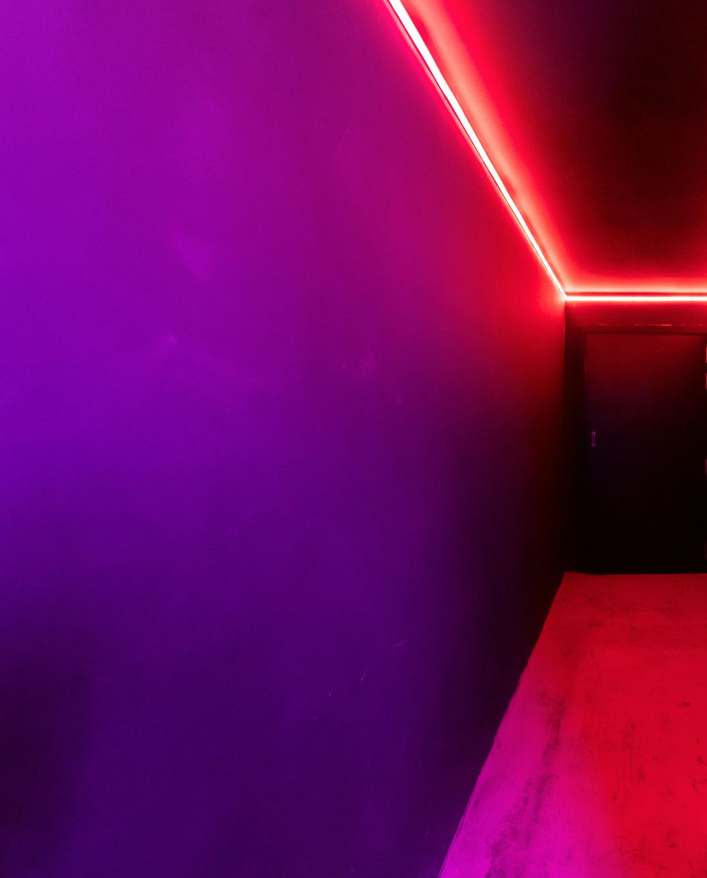 In un angolo della stanza, una parete di un viola acceso è illuminata da una striscia luminosa rossa che corre lungo il bordo del soffitto.