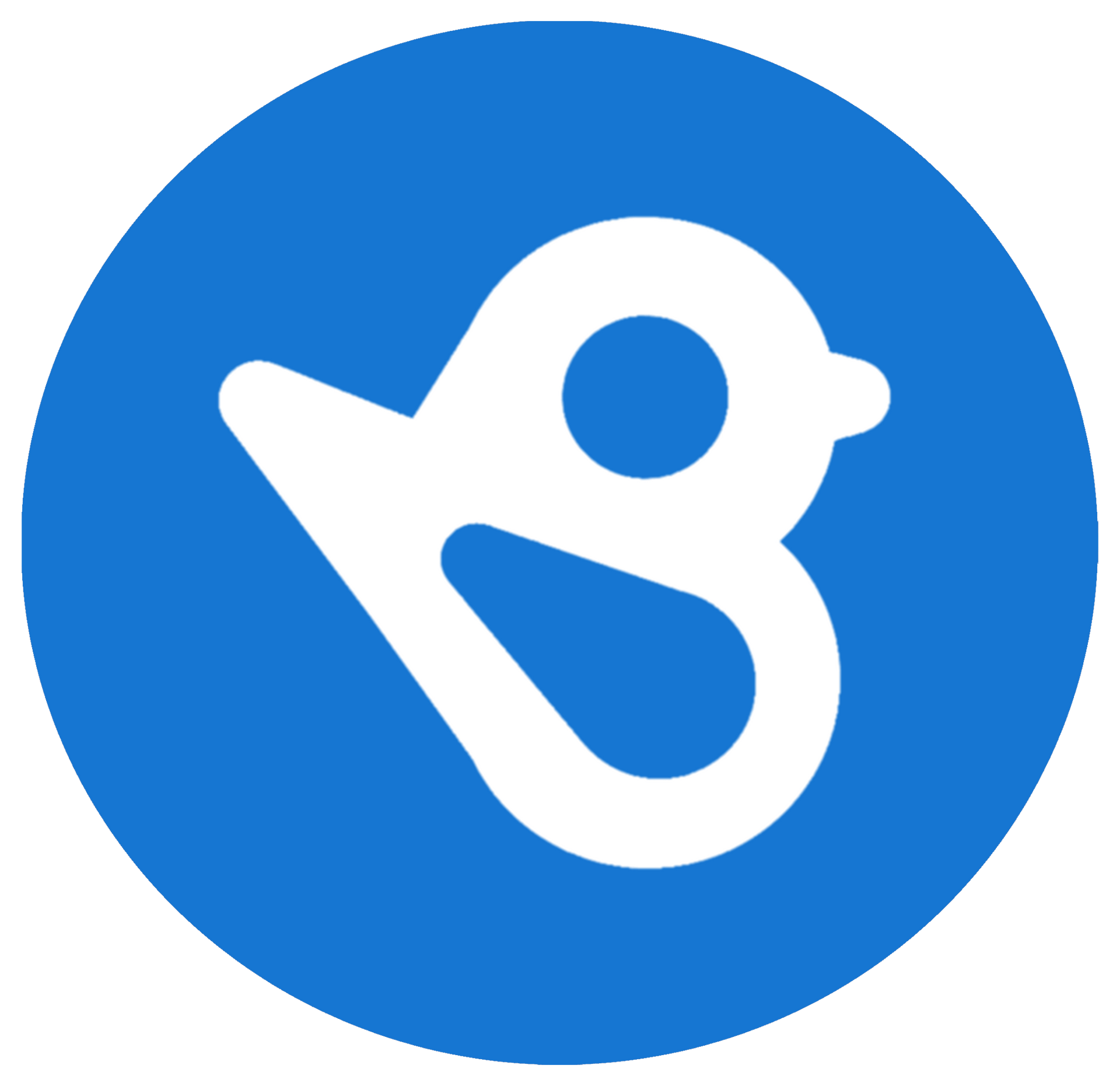Birdeye