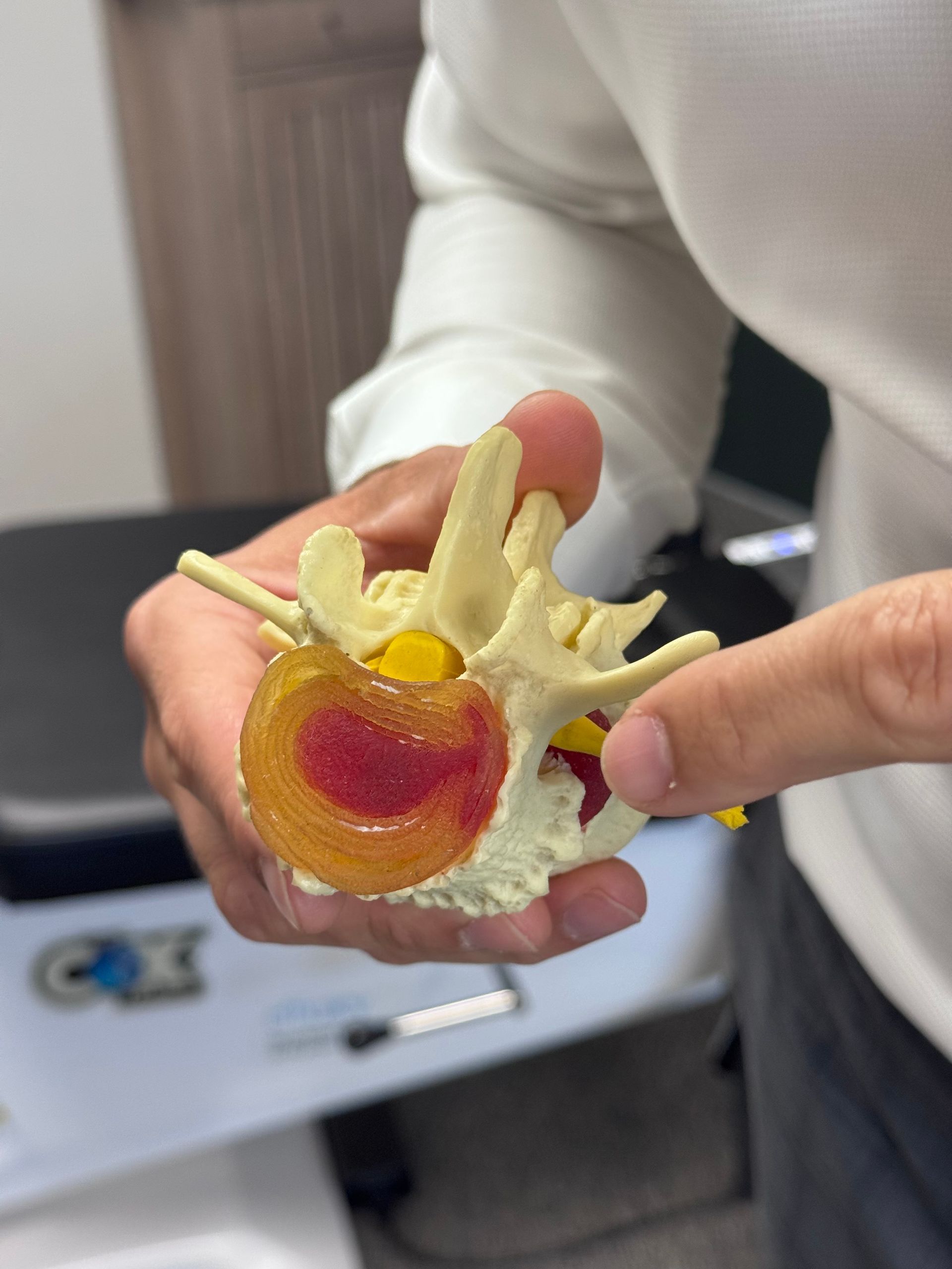 Hands holding a colorful anatomical spine model in a classroom setting