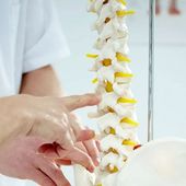 Hand pointing to a model human spine with yellow nerves in a medical setting