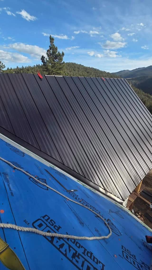 Black metal roof under construction above blue roof sheathing, with trees and sky in the background.