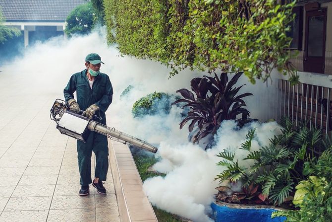 Worker spraying thick white fog along a garden walkway beside lush plants