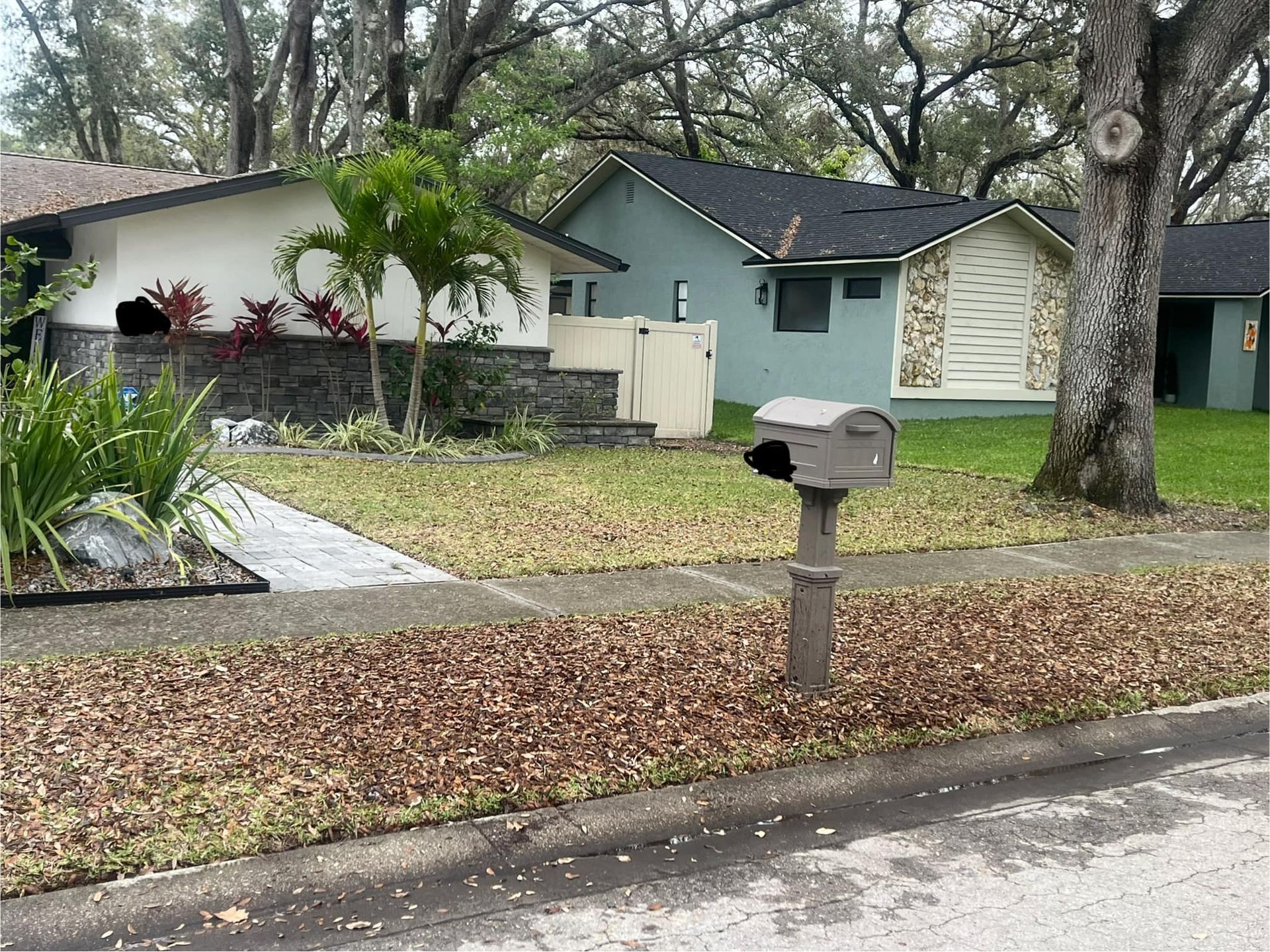 A residential street scene with a white and gray house, a light blue house, green lawn, a mailbox, and mature oak trees.