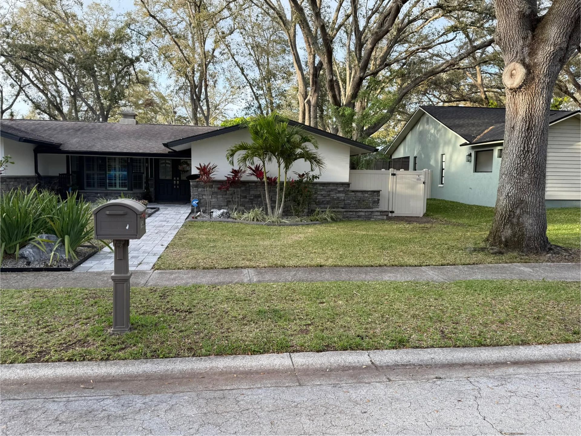 A one-story suburban home with a dark roof, stone accent wall, a palm tree in the yard, and a mailbox near the street.