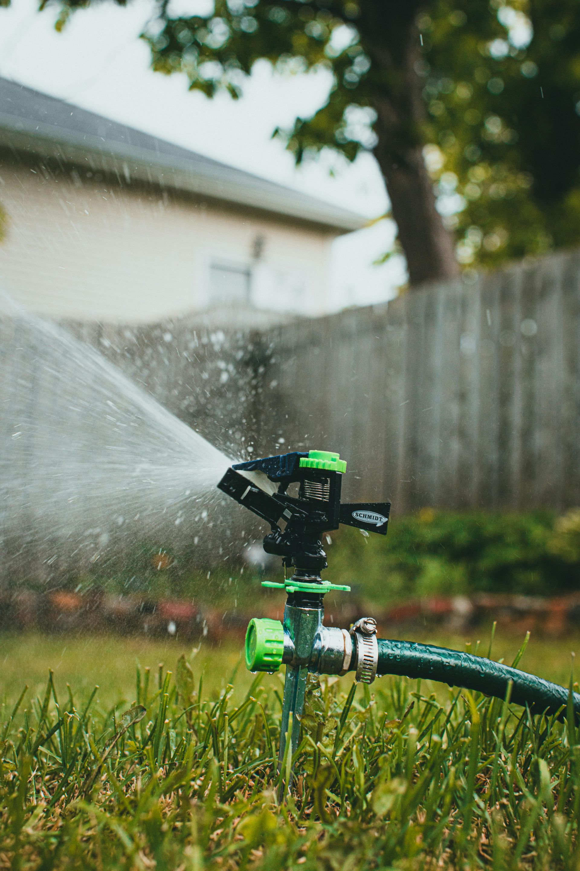 A black and green lawn sprinkler sprays water across a green grass yard in front of a wooden fence and a blurry house.