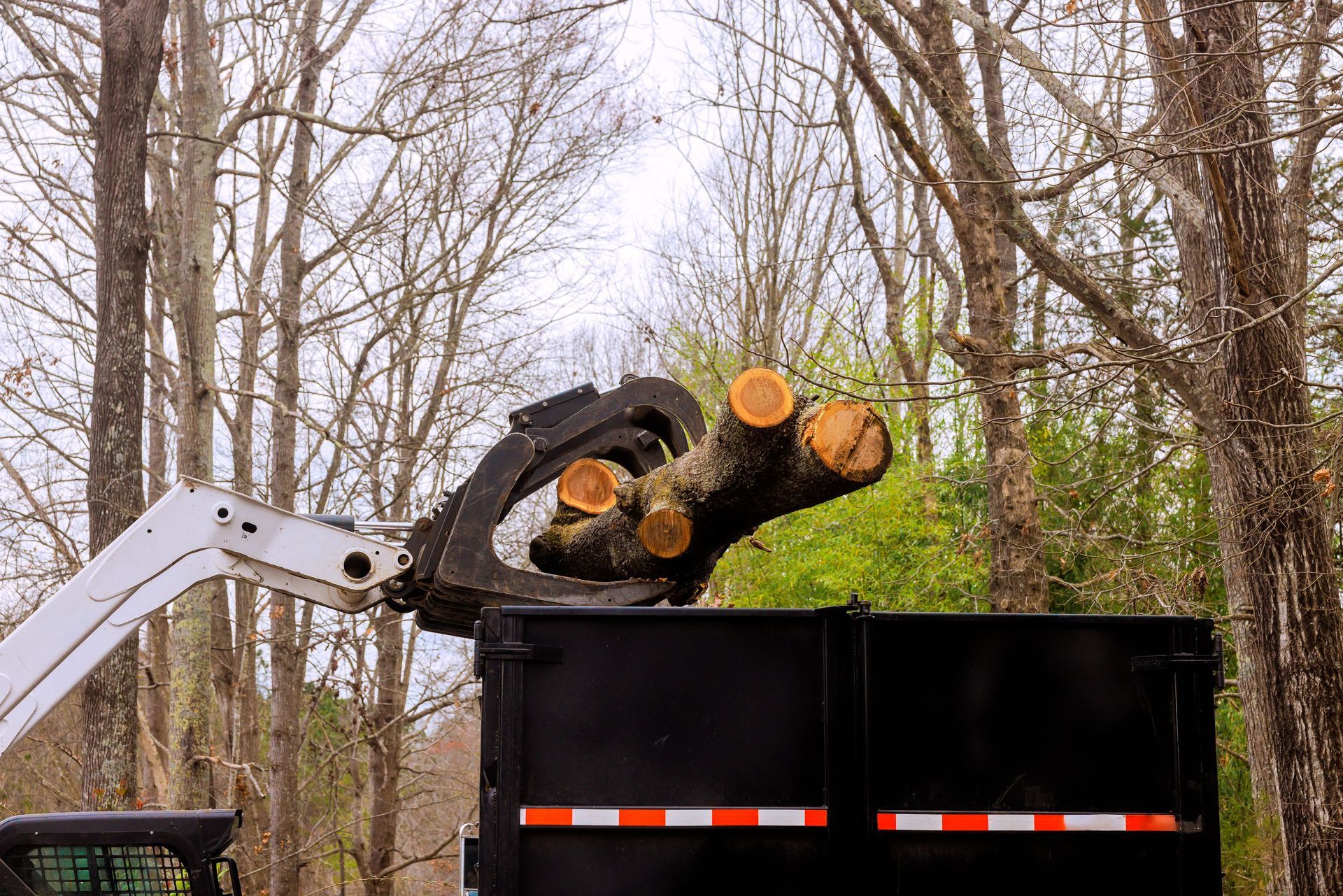 A grapple attachment on a white tractor arm lifts tree logs into a black dump truck in a wooded area.