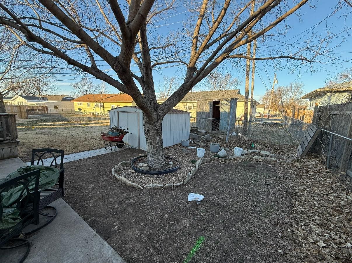 A backyard scene with a large, bare-branched tree centered, a small white shed, and fallen leaves under a clear blue sky.