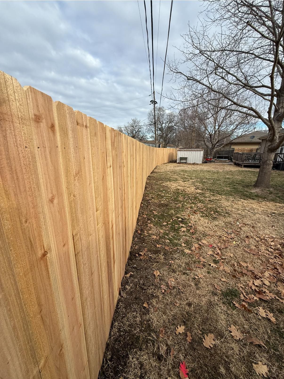 A tall, light-brown wood privacy fence follows the edge of a dry, leaf-strewn yard under a cloudy sky.