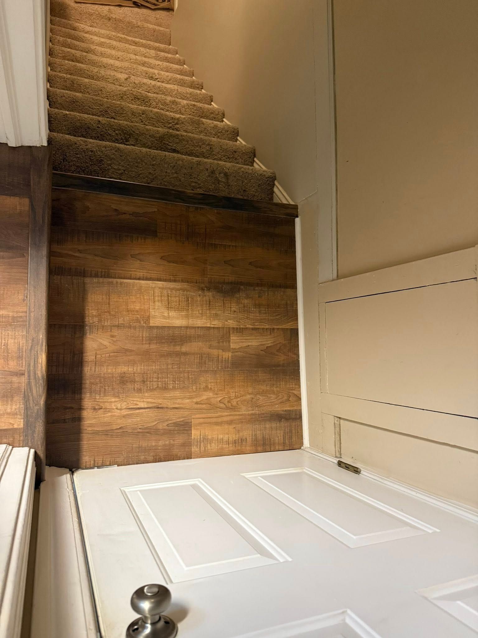 A white door sits at the base of carpeted stairs, which are framed by a dark, wood-paneled wall and a plain wall.