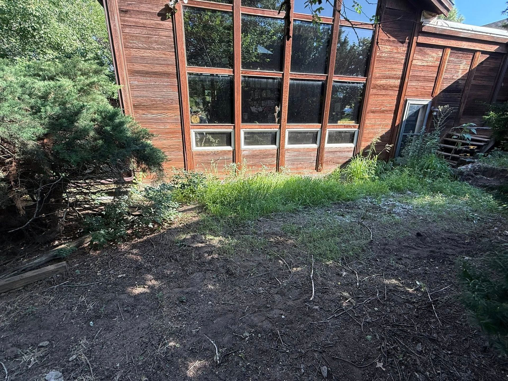 A brown wooden building with large windows stands behind a patch of overgrown grass and dark, dirt ground.