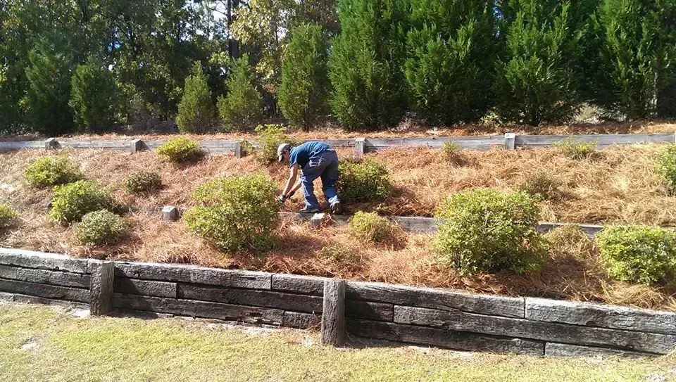 Honey Badger Lawn & Landscape
- A man is kneeling down in a garden with trees in the background.