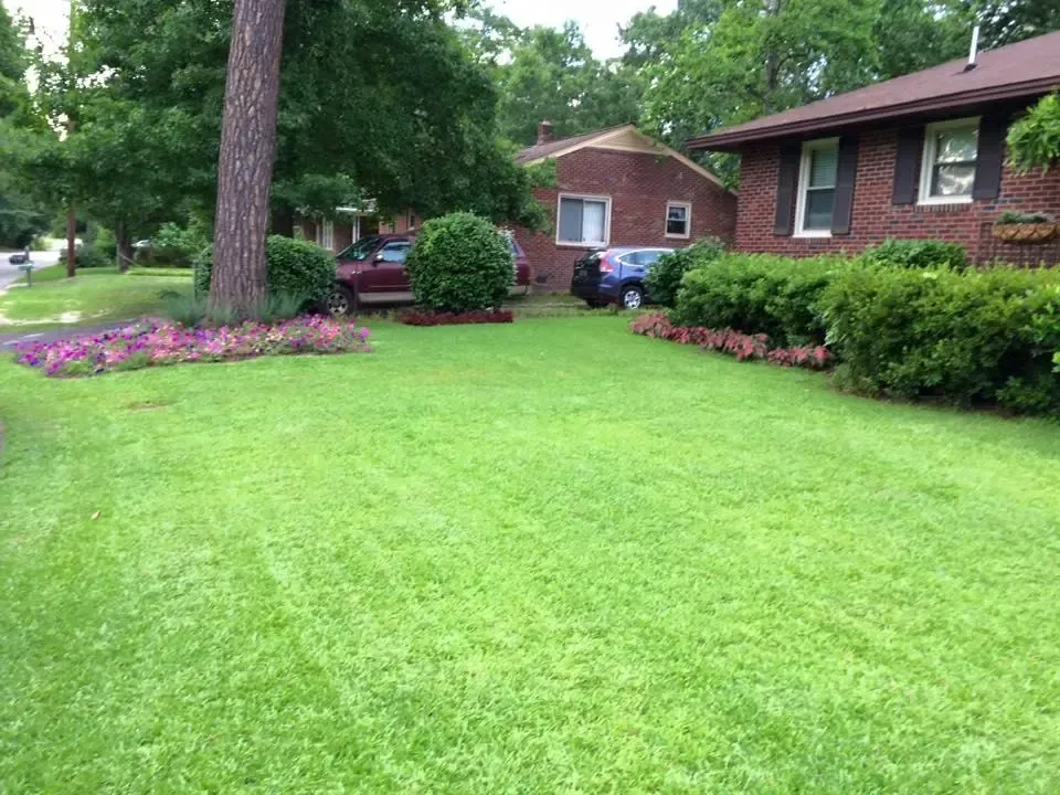 Honey Badger Lawn & Landscape
- A lush green lawn in front of a brick house.