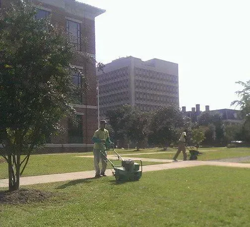 Honey Badger Lawn & Landscape
- A man is mowing the grass in front of a large building