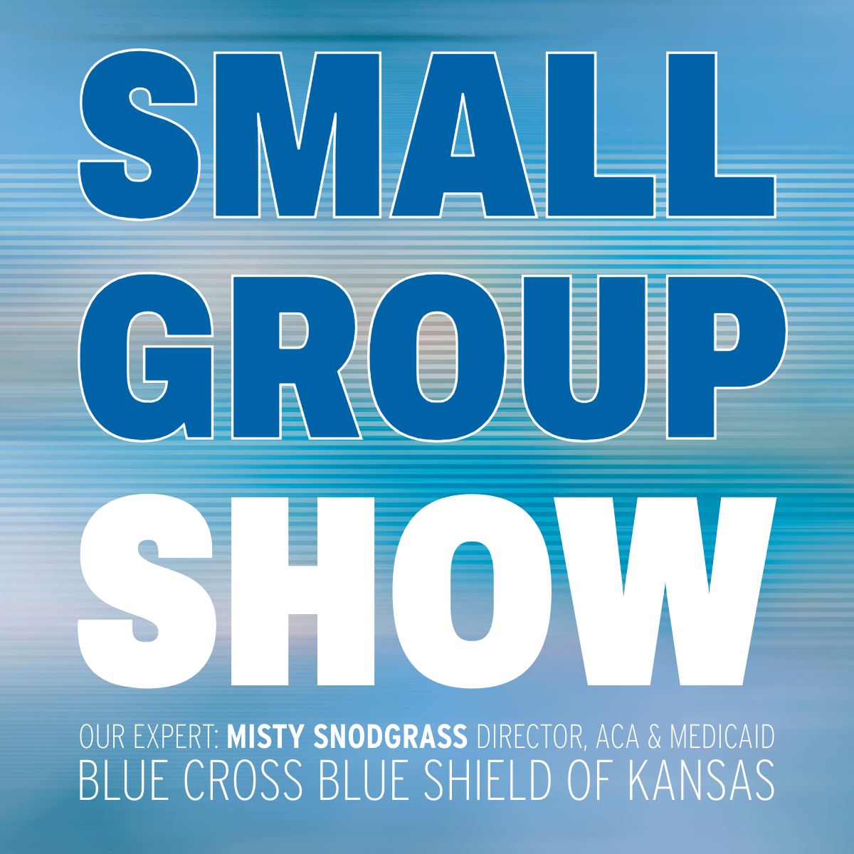 Blue and white poster reading “Small Group Show” for Blue Cross Blue Shield of Kansas