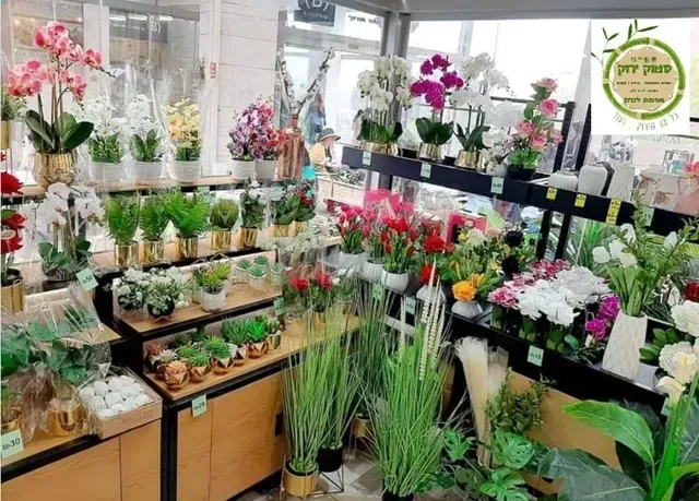 חנות צמחים מקורה ובה שורות של סחלבים, סוקולנטים וצמחי בית ירוקים המוצגים לראווה.