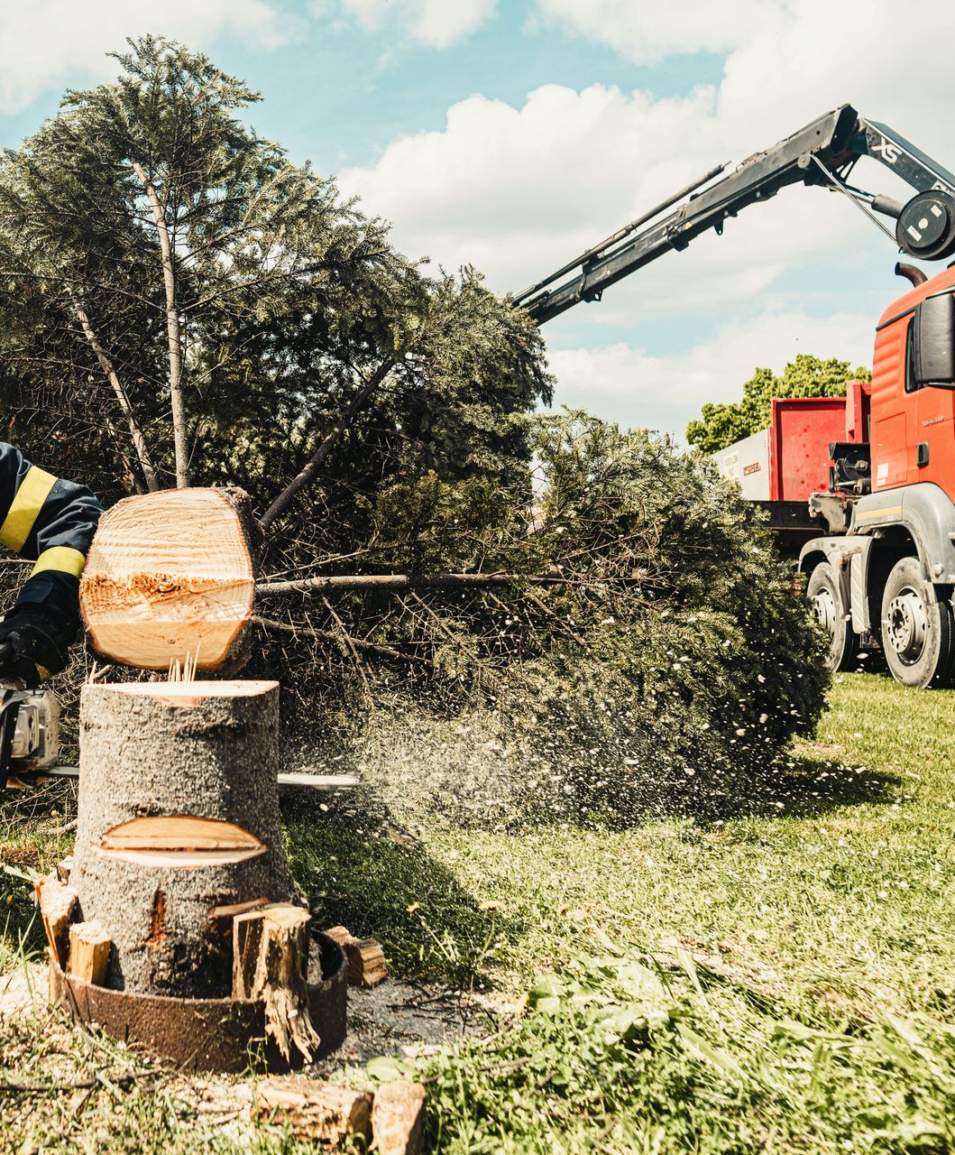 Worker using crane to load cut tree branches into a truck beside a stump in a grassy yard