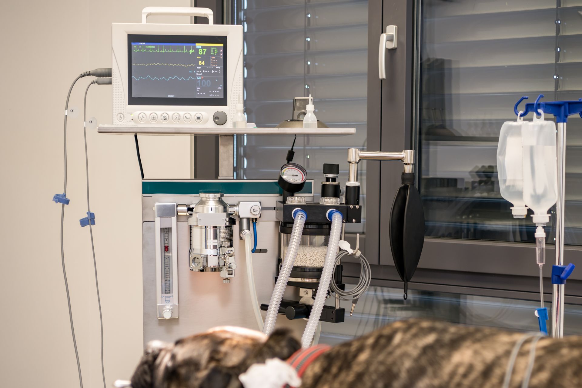 Veterinary surgery anesthesia monitoring