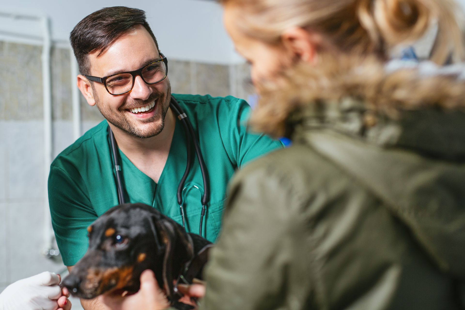 Veterinary surgery team care