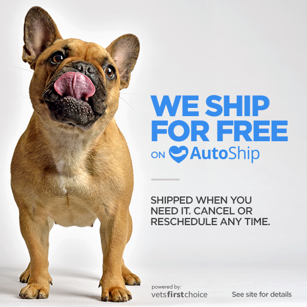 French bulldog beside ad text: “We ship for free on AutoShip” on a white background.